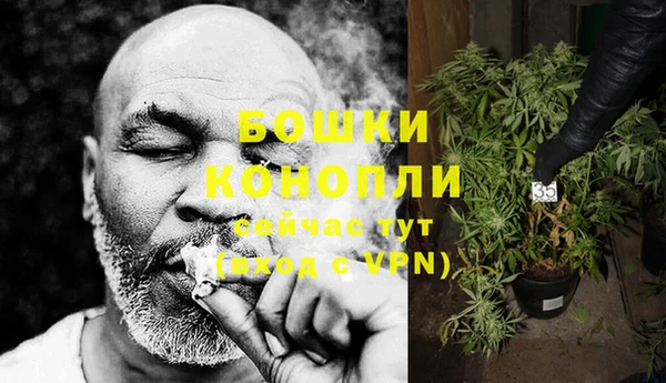 амф Белокуриха