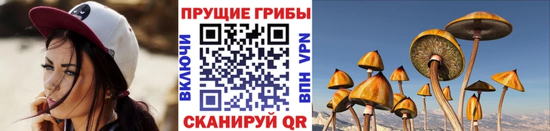 Псилоцибиновые грибы прущие грибы  Сухой Лог 